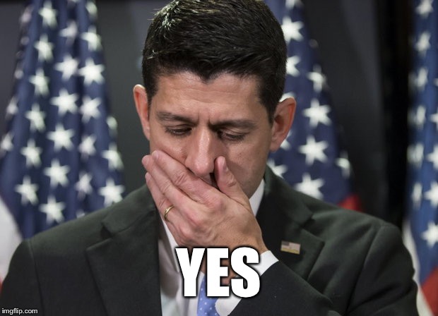 Sick Paul Ryan | YES | image tagged in sick paul ryan | made w/ Imgflip meme maker