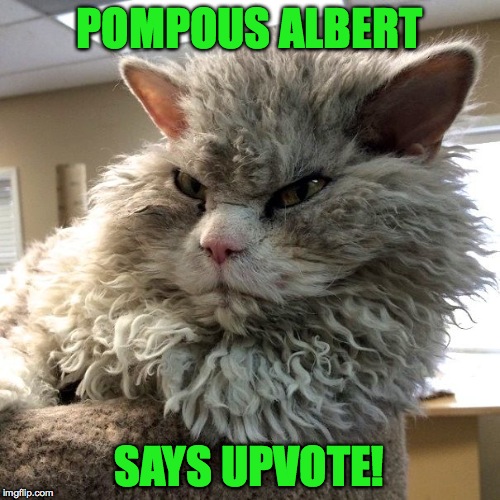 POMPOUS ALBERT SAYS UPVOTE! | made w/ Imgflip meme maker