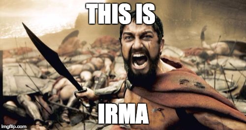 Sparta Leonidas Meme | THIS IS; IRMA | image tagged in memes,sparta leonidas | made w/ Imgflip meme maker