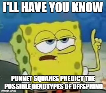 I'll Have You Know Spongebob Meme | I'LL HAVE YOU KNOW; PUNNET SQUARES PREDICT THE POSSIBLE GENOTYPES OF OFFSPRING | image tagged in memes,ill have you know spongebob | made w/ Imgflip meme maker