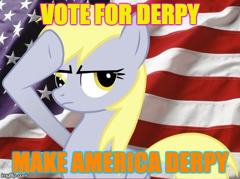 VOTE FOR DERPY; MAKE AMERICA DERPY | image tagged in derpy | made w/ Imgflip meme maker