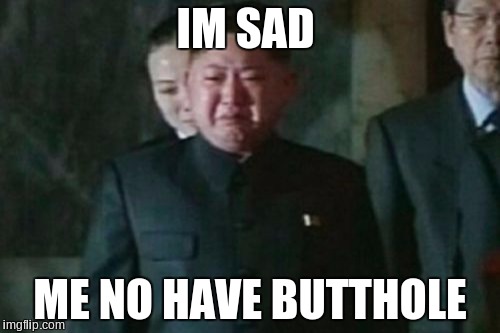 Kim Jong Un Sad Meme | IM SAD; ME NO HAVE BUTTHOLE | image tagged in memes,kim jong un sad | made w/ Imgflip meme maker