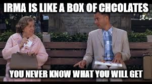 forrest gump box of chocolates | IRMA IS LIKE A BOX OF CHCOLATES; YOU NEVER KNOW WHAT YOU WILL GET | image tagged in forrest gump box of chocolates | made w/ Imgflip meme maker