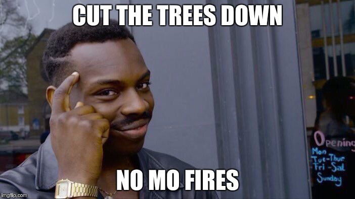 Roll Safe Think About It Meme | CUT THE TREES DOWN; NO MO FIRES | image tagged in roll safe think about it | made w/ Imgflip meme maker