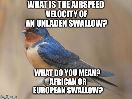 The Swallow Bird/Monty Python and The Holy Grail | WHAT IS THE AIRSPEED VELOCITY OF AN UNLADEN SWALLOW? WHAT DO YOU MEAN? AFRICAN OR EUROPEAN SWALLOW? | image tagged in memes | made w/ Imgflip meme maker