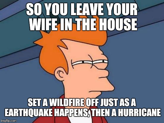 Futurama Fry Meme | SO YOU LEAVE YOUR WIFE IN THE HOUSE SET A WILDFIRE OFF JUST AS A EARTHQUAKE HAPPENS, THEN A HURRICANE | image tagged in memes,futurama fry | made w/ Imgflip meme maker