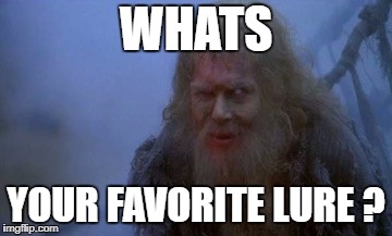 WHATS; YOUR FAVORITE LURE ? | made w/ Imgflip meme maker