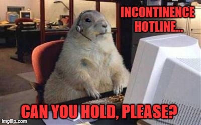 INCONTINENCE HOTLINE... CAN YOU HOLD, PLEASE? | image tagged in squirrel | made w/ Imgflip meme maker