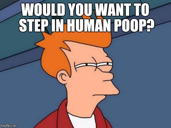 Futurama Fry Meme | WOULD YOU WANT TO STEP IN HUMAN POOP? | image tagged in memes,futurama fry | made w/ Imgflip meme maker