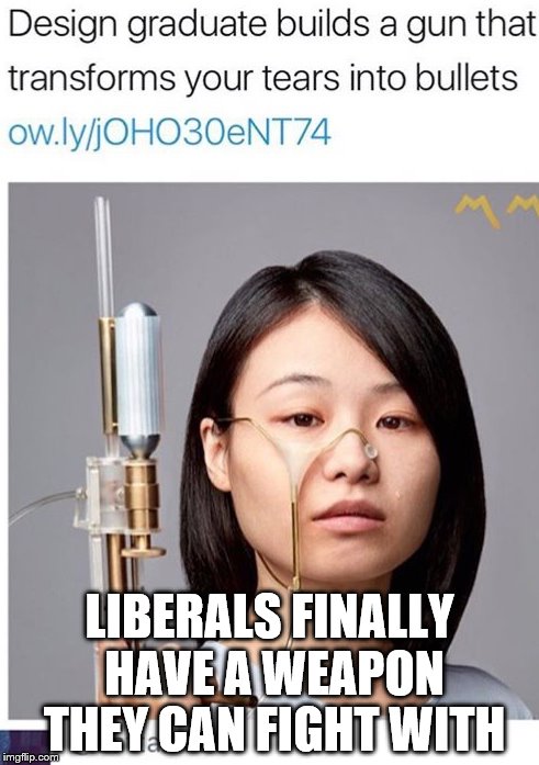 LIBERALS FINALLY HAVE A WEAPON THEY CAN FIGHT WITH | image tagged in liberals | made w/ Imgflip meme maker