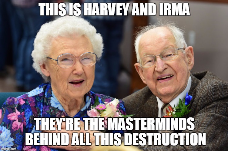 THIS IS HARVEY AND IRMA; THEY'RE THE MASTERMINDS BEHIND ALL THIS DESTRUCTION | image tagged in harvey and irma | made w/ Imgflip meme maker