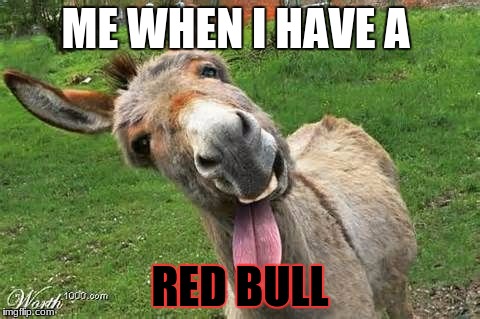 Laughing Donkey | ME WHEN I HAVE A; RED BULL | image tagged in laughing donkey | made w/ Imgflip meme maker