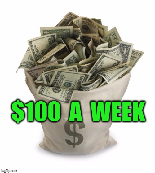 Bag of money | $100  A  WEEK | image tagged in bag of money | made w/ Imgflip meme maker