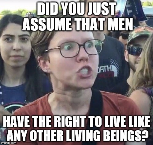 Triggered feminist | DID YOU JUST ASSUME THAT MEN; HAVE THE RIGHT TO LIVE LIKE ANY OTHER LIVING BEINGS? | image tagged in triggered feminist | made w/ Imgflip meme maker