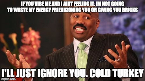 Steve Harvey | IF YOU VIBE ME AND I AINT FEELING IT, IM NOT GOING TO WASTE MY ENERGY FRIENDZONING YOU OR GIVING YOU BRICKS; I'LL JUST IGNORE YOU. COLD TURKEY | image tagged in memes,steve harvey | made w/ Imgflip meme maker