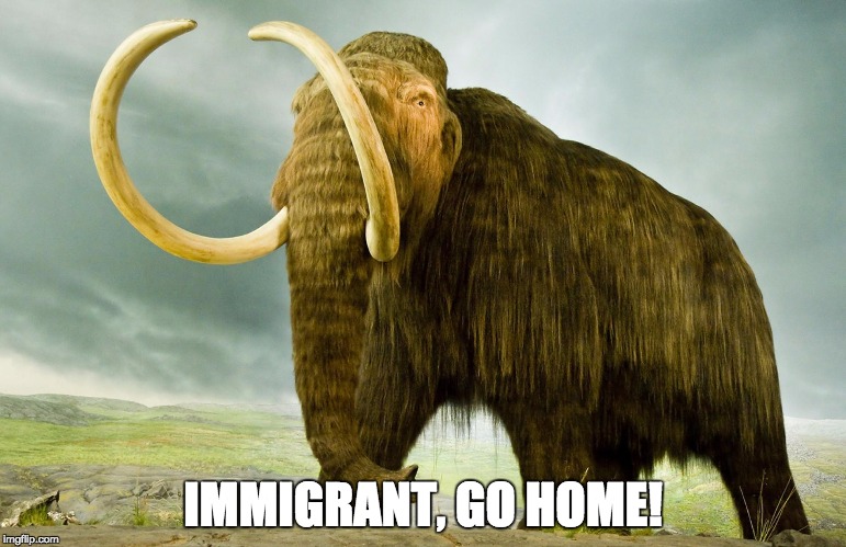 IMMIGRANT, GO HOME! | image tagged in woolly mammoth | made w/ Imgflip meme maker