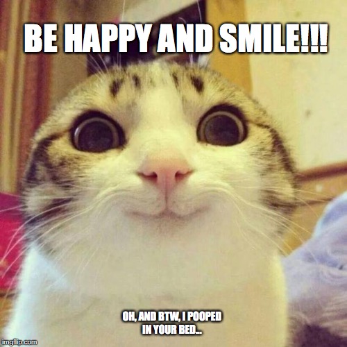 Smiling Cat | BE HAPPY AND SMILE!!! OH, AND BTW, I POOPED IN YOUR BED... | image tagged in memes,smiling cat | made w/ Imgflip meme maker