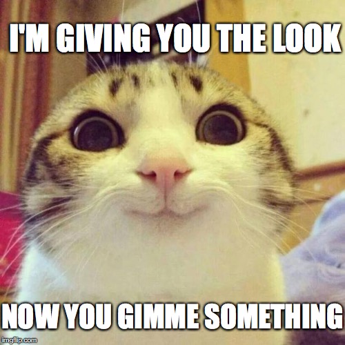 Gimme something | I'M GIVING YOU THE LOOK; NOW YOU GIMME SOMETHING | image tagged in memes,smiling cat | made w/ Imgflip meme maker