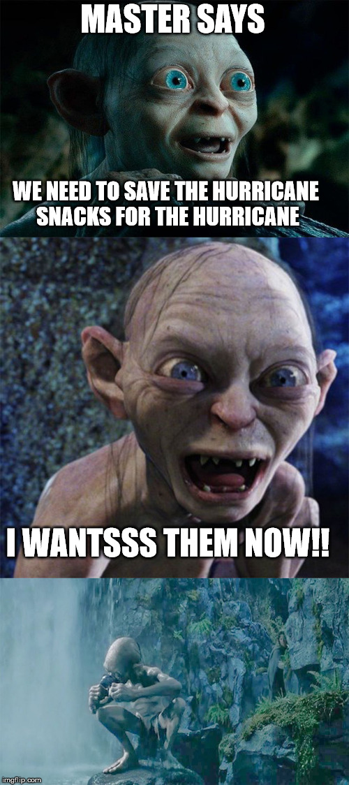 MASTER SAYS; WE NEED TO SAVE THE HURRICANE SNACKS FOR THE HURRICANE; I WANTSSS THEM NOW!! | image tagged in gollum hurricane food | made w/ Imgflip meme maker