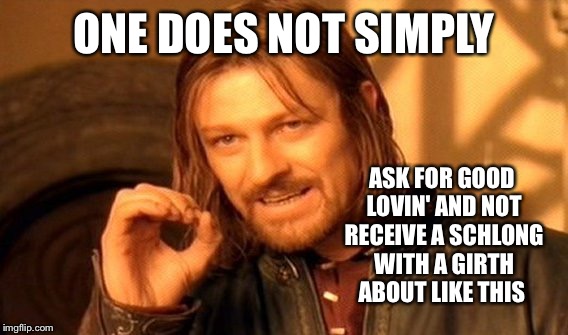 One Does Not Simply Meme | ONE DOES NOT SIMPLY ASK FOR GOOD LOVIN' AND NOT RECEIVE A SCHLONG WITH A GIRTH ABOUT LIKE THIS | image tagged in memes,one does not simply | made w/ Imgflip meme maker