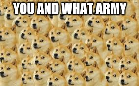 YOU AND WHAT ARMY | image tagged in doge | made w/ Imgflip meme maker
