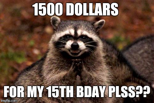 Evil Plotting Raccoon Meme | 1500 DOLLARS; FOR MY 15TH BDAY PLSS?? | image tagged in memes,evil plotting raccoon | made w/ Imgflip meme maker