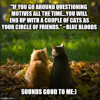 Circle of Friends | "IF YOU GO AROUND QUESTIONING MOTIVES ALL THE TIME...YOU WILL END UP WITH A COUPLE OF CATS AS YOUR CIRCLE OF FRIENDS." ~BLUE BLOODS; SOUNDS GOOD TO ME:) | image tagged in friends forever,funny cat memes | made w/ Imgflip meme maker