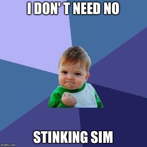 Success Kid Meme | I DON' T NEED NO; STINKING SIM | image tagged in memes,success kid | made w/ Imgflip meme maker