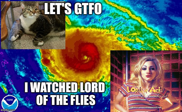 HURRICANE IRMA | LET'S GTFO; I WATCHED LORD OF THE FLIES | image tagged in hurricane irma | made w/ Imgflip meme maker