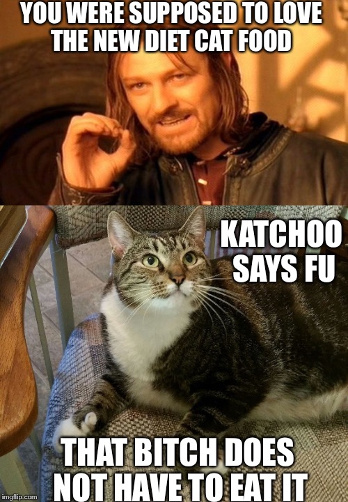 BC.....Boss Cat | YOU WERE SUPPOSED TO LOVE THE NEW DIET CAT FOOD; KATCHOO SAYS FU; THAT BITCH DOES NOT HAVE TO EAT IT | image tagged in boss,like a boss,cats,cat food,the boss,nasty food | made w/ Imgflip meme maker