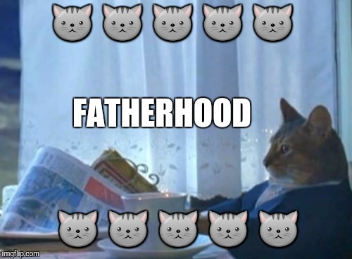 I Should Buy A Boat Cat | 🐱 🐱 🐱 🐱 🐱; FATHERHOOD; 🐱 🐱 🐱 🐱 🐱 | image tagged in funny,i should buy a boat cat,humor,memes,cats,animals | made w/ Imgflip meme maker