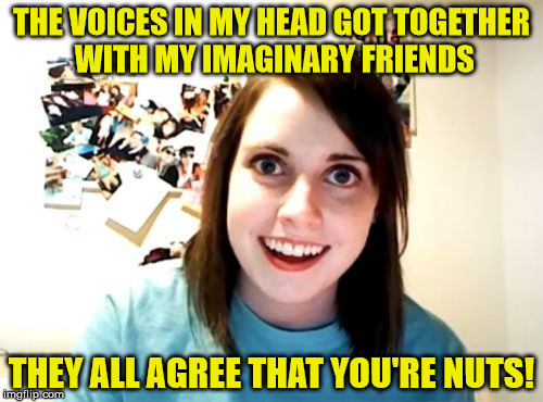 The only dissenting voice was the grammar Nazi. Nobody lissens tu hymn. | THE VOICES IN MY HEAD GOT TOGETHER WITH MY IMAGINARY FRIENDS; THEY ALL AGREE THAT YOU'RE NUTS! | image tagged in overly attached girl friend,voices in my head,imaginary friends,concensus | made w/ Imgflip meme maker