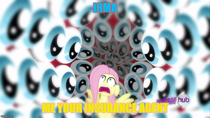 IRMA ME YOUR INSURANCE AGENT | made w/ Imgflip meme maker