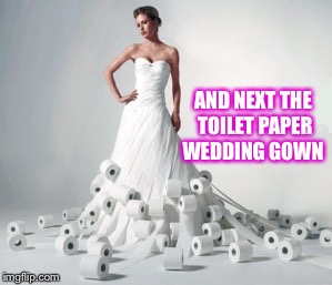 AND NEXT THE TOILET PAPER WEDDING GOWN | made w/ Imgflip meme maker