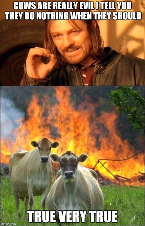 COWS ARE REALLY EVIL I TELL YOU THEY DO NOTHING WHEN THEY SHOULD; TRUE VERY TRUE | image tagged in memes | made w/ Imgflip meme maker
