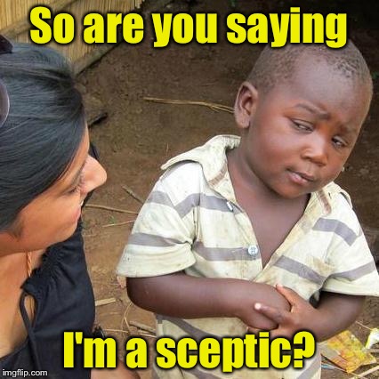 I'm a sceptic? Are you sure about that? | So are you saying; I'm a sceptic? | image tagged in memes,third world skeptical kid | made w/ Imgflip meme maker