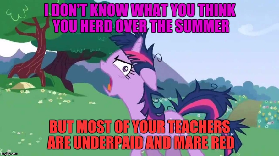 I DON'T KNOW WHAT YOU THINK YOU HERD OVER THE SUMMER BUT MOST OF YOUR TEACHERS ARE UNDERPAID AND MARE RED | made w/ Imgflip meme maker