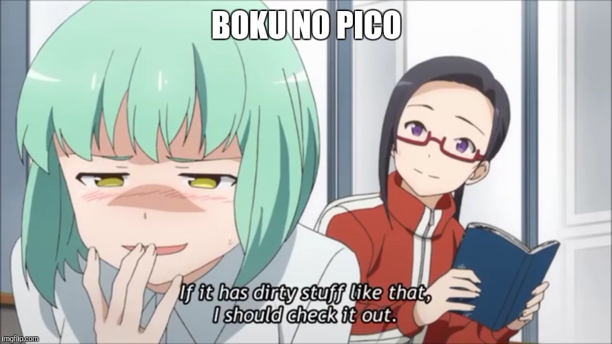 (Almost) Basically everyone's reaction when they heard about it for the First time | BOKU NO PICO | image tagged in anime,boku no pico,it's a trap | made w/ Imgflip meme maker