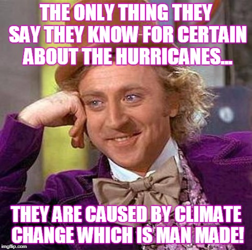 Creepy Condescending Wonka Meme | THE ONLY THING THEY SAY THEY KNOW FOR CERTAIN ABOUT THE HURRICANES... THEY ARE CAUSED BY CLIMATE CHANGE WHICH IS MAN MADE! | image tagged in memes,creepy condescending wonka | made w/ Imgflip meme maker