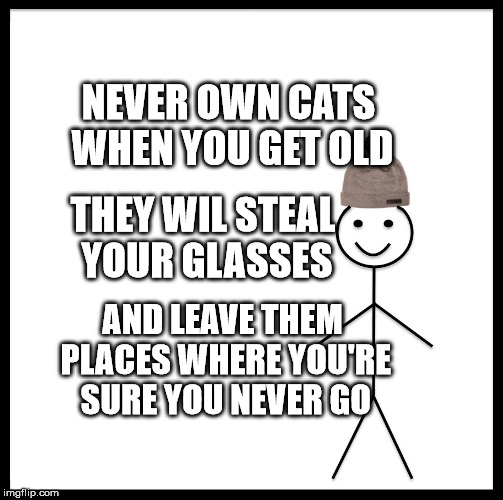 Be Like Bill Meme | NEVER OWN CATS WHEN YOU GET OLD; THEY WIL STEAL YOUR GLASSES; AND LEAVE THEM PLACES WHERE YOU'RE SURE YOU NEVER GO | image tagged in memes,be like bill | made w/ Imgflip meme maker
