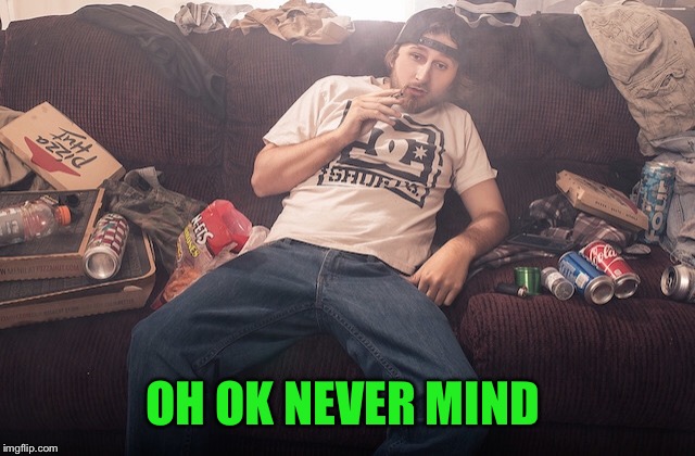 Stoner on couch | OH OK NEVER MIND | image tagged in stoner on couch | made w/ Imgflip meme maker