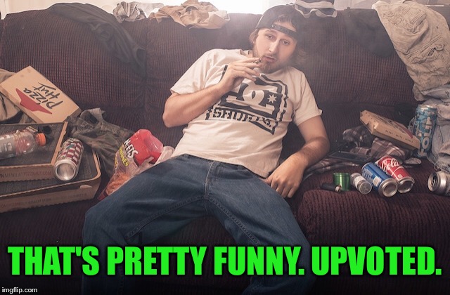 Stoner on couch | THAT'S PRETTY FUNNY. UPVOTED. | image tagged in stoner on couch | made w/ Imgflip meme maker