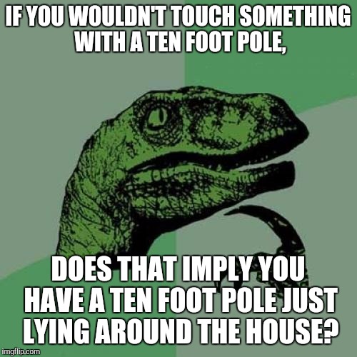 Philosoraptor | IF YOU WOULDN'T TOUCH SOMETHING WITH A TEN FOOT POLE, DOES THAT IMPLY YOU HAVE A TEN FOOT POLE JUST LYING AROUND THE HOUSE? | image tagged in memes,philosoraptor | made w/ Imgflip meme maker