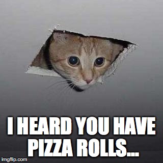 Ceiling Cat | I HEARD YOU HAVE PIZZA ROLLS... | image tagged in memes,ceiling cat | made w/ Imgflip meme maker