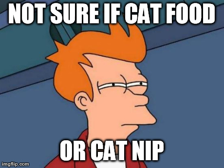 Futurama Fry Meme | NOT SURE IF CAT FOOD OR CAT NIP | image tagged in memes,futurama fry | made w/ Imgflip meme maker