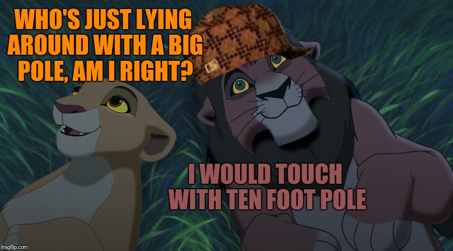 WHO'S JUST LYING AROUND WITH A BIG POLE, AM I RIGHT? I WOULD TOUCH WITH TEN FOOT POLE | made w/ Imgflip meme maker