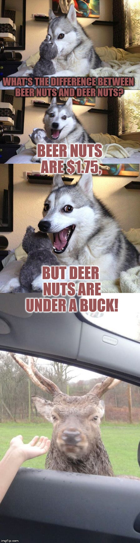 Nuts, nuts, nuts | WHAT'S THE DIFFERENCE BETWEEN BEER NUTS AND DEER NUTS? BEER NUTS ARE $1.75, BUT DEER NUTS ARE UNDER A BUCK! | image tagged in memes,nuts,angry deer,bad pun dog,buck,beer nuts | made w/ Imgflip meme maker
