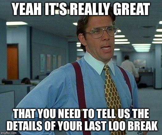 That Would Be Great | YEAH IT'S REALLY GREAT; THAT YOU NEED TO TELL US THE DETAILS OF YOUR LAST LOO BREAK | image tagged in memes,that would be great | made w/ Imgflip meme maker