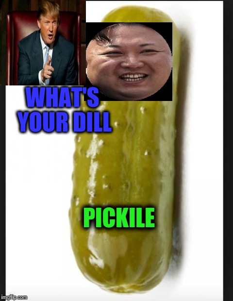 What's your dill? | WHAT'S YOUR DILL; PICKILE | image tagged in pickle,trump,kim,wtf,memes,funny | made w/ Imgflip meme maker
