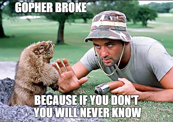 gopher | GOPHER BROKE; BECAUSE IF YOU DON'T YOU WILL NEVER KNOW | image tagged in gopher | made w/ Imgflip meme maker